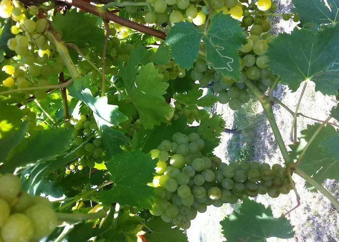 Al Colle * Кавайон-Веронезе