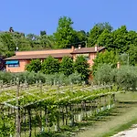 Farm stay Al Colle Cavaion Veronese