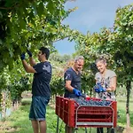 Al Colle Farm stay *