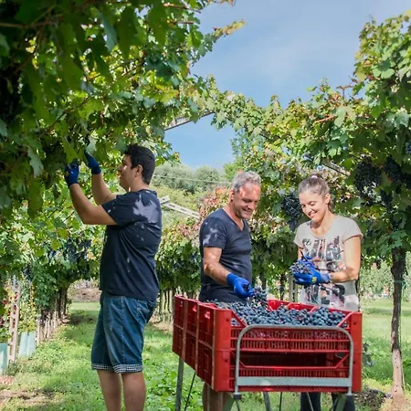 Al Colle Κατάλυμα σε φάρμα *